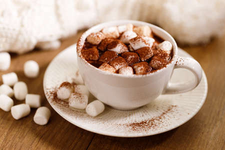 Hot chocolate in white cup with tiny marshmallow and chocolate powder on wooden table background.の写真素材