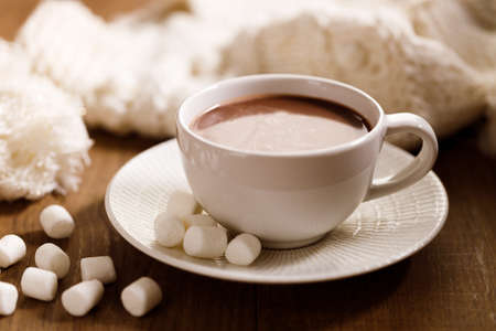 Hot chocolate in white cup with tiny marshmallow and chocolate powder on wooden table background.の写真素材