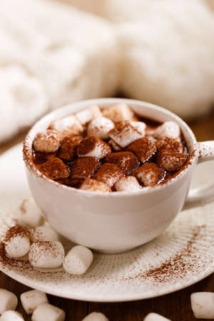 Hot chocolate in white cup with tiny marshmallow and chocolate powder on wooden table background.の写真素材
