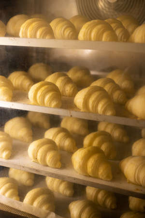 Croissants baking in the oven.Producing classic croissants at the bakery shop.の写真素材