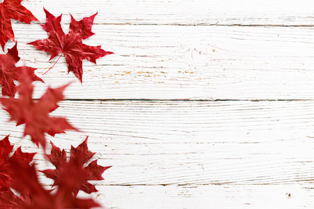 Autumn red maple leaves on white wooden table background. Top view with copy space.の写真素材
