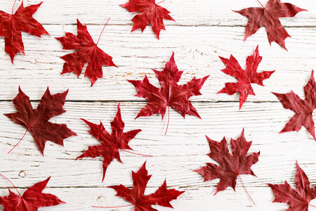 Autumn red maple leaves on white wooden table background. Top view.