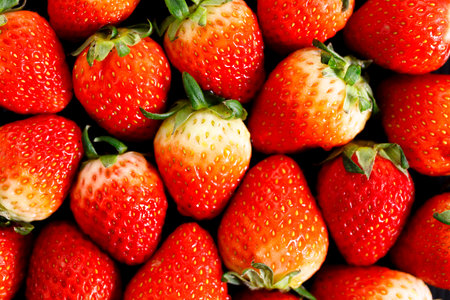 Ripe red strawberries covering background. Food background. Closeup.の写真素材