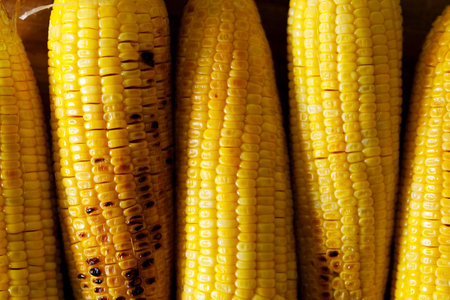 Fresh grilled sweet corn on wooden board.