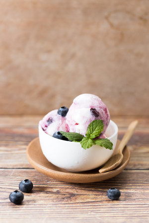 Blueberry yogurt ice cream with fresh blueberries and mint leaves in white cup. Closeup.の写真素材
