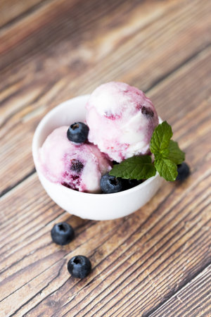 Blueberry yogurt ice cream with fresh blueberries and mint leaves in white cup. Closeup.の写真素材