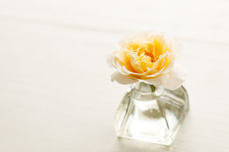 Closeup of Yellow beautiful blooming rose in glass vase.の写真素材
