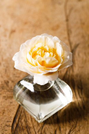 Closeup of beautiful blooming rose in glass vase on wooden table.の写真素材