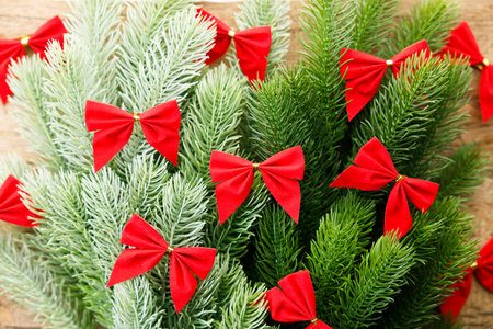 Red ribbons with pine branches, Christmas tree concept. Closeup.の写真素材