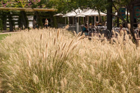 Tropical garden with outdoor cafe at Southbank, Brisbane