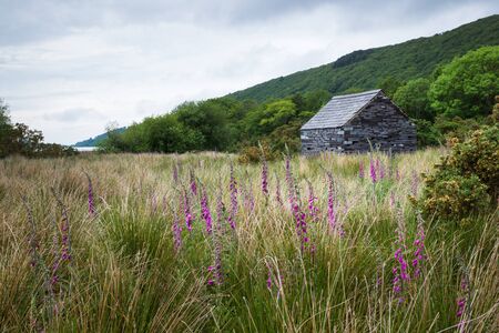Stone cabin with slate roof in meadow. Flowers in foreground, lake and mountain in backgroundの写真素材