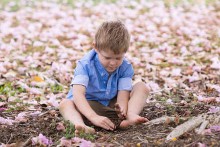 Little boy playing in gardenの写真素材