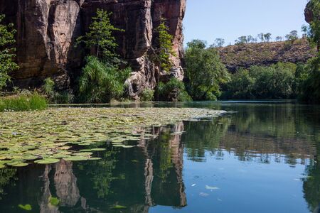 Lawn Hill Gorge, Queensland, Australia with waterlilies and reflectionsの写真素材
