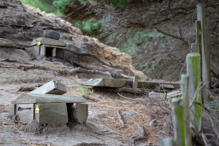 Little wooden penguin shelters on the coastal hillside at Flea Bay, Banks Peninsula, New Zealandの写真素材