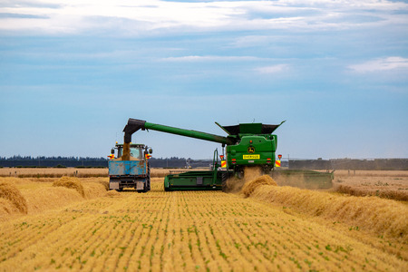 Dorie, Canterbury, New Zealand - January 26 2019: A large John Deere combine harvester offloads its grain into a  bin towed by a tractorのeditorial素材
