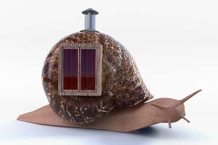 snail with house on backの写真素材