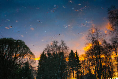 Reflection of the forest and the sky in the pond water parkの写真素材