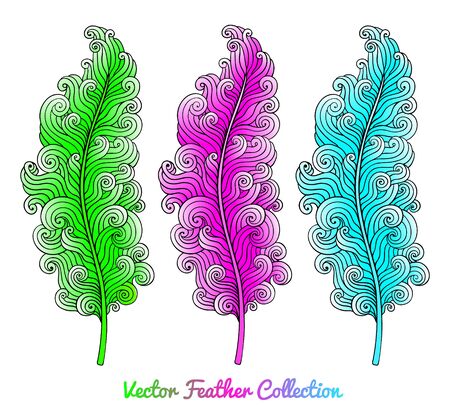 Set of bright curly feathers.のイラスト素材