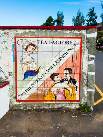 Tea factory, Azorean island productionのeditorial素材