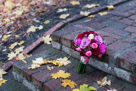 rosesの写真素材