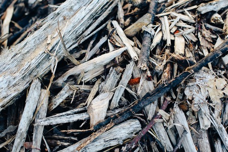 Texture of wood chips and sawdust close-upの写真素材