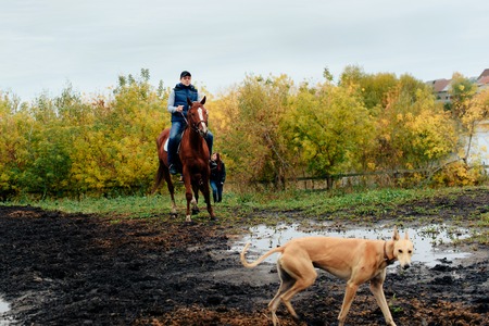 man learns riding a horse in autumn in a rural landscape 1の写真素材