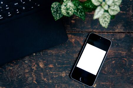 phone, laptop and plant on a wooden background, flat lay 1