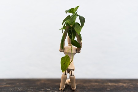 wooden toy in the image of a man on a light background in the hands with a green plantの写真素材