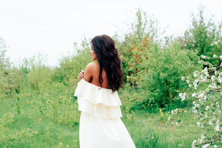 beautiful young girl in white dress in spring blossoming apple orchards 1の写真素材