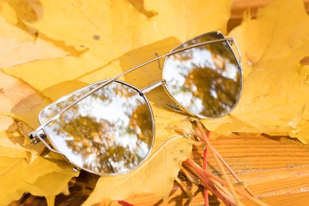 sunglasses lie on yellow autumn maple leavesの写真素材
