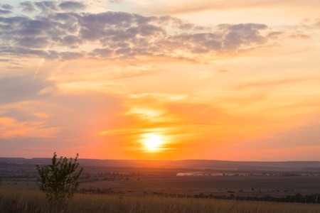 very beautiful summer sunset with bright colors of the skyの写真素材