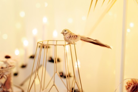 Christmas decor with Christmas tree and toysの写真素材