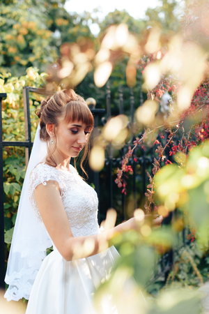 young beautiful bride in nature in summerの写真素材