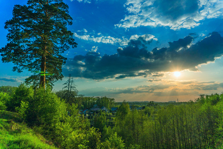 landscape sunset sky and green grass and treesの写真素材