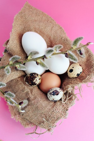 Easter eggs on a pink background with a sprig of willowの写真素材