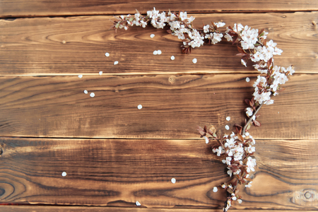 cherry blossom twig on wooden backgroundの写真素材