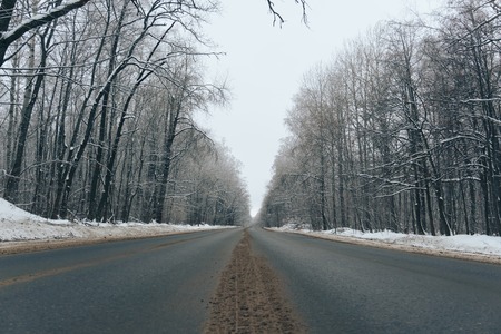 beautiful winter forest landscapeの写真素材