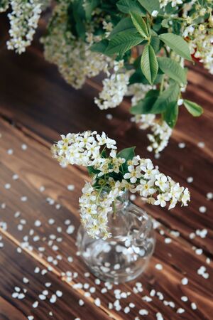 cherry flowers with green leaves on a wooden backgroundの写真素材