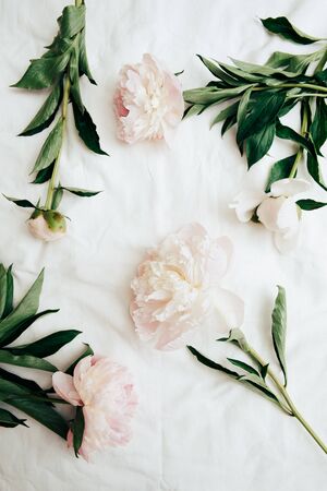 pink flowers with green leaves on white clothの写真素材