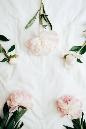 pink flowers with green leaves on white clothの写真素材