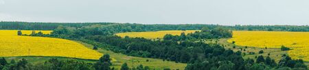 panorama of yellow field and green trees on a background of cloudy skyの写真素材