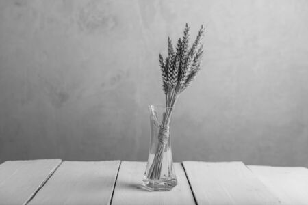 ears of wheat in a small glass vase on a gray backgroundの写真素材