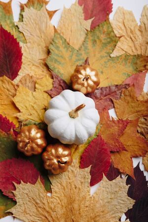 autumn set of pumpkins and dried leaves on a wooden backgroundの写真素材