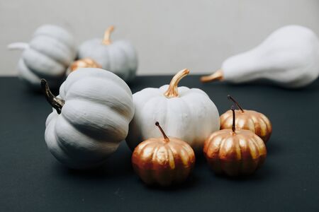 pumpkins of different sizes and colors on a black backgroundの写真素材