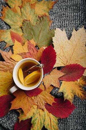 tea with lemon on a background of autumn leavesの写真素材