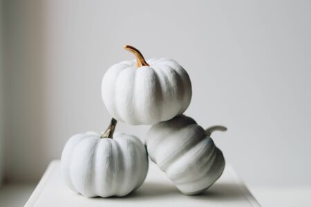 white small pumpkins on a white backgroundの写真素材