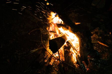 campfire at night from wooden logs in the open air close-up