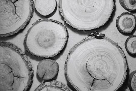 gold rings of the bride and groom close-upの写真素材