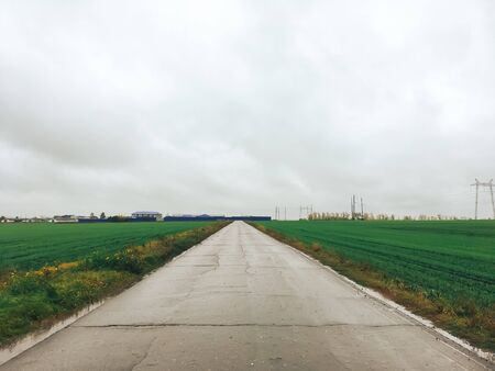 Large field with young green grass in cloudy weather 1