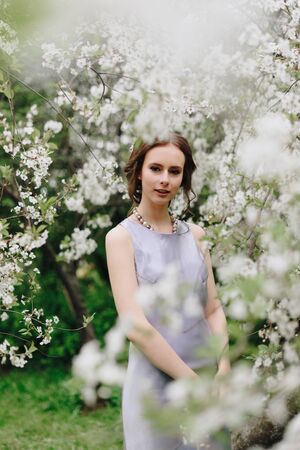 portrait of a beautiful young thin white girl on a spring cherry blossomの写真素材